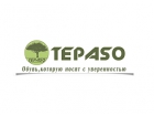 Компания "Tepaso"