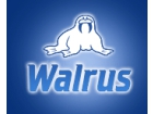 Walrus
