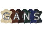 Gans