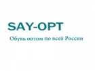 SAY-OPT