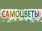Самоцветы