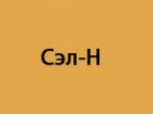 Сэл-Н