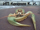 ИП Кононов К. И.
