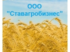 ООО Ставагробизнес