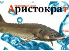 Торговый дом Аристократ
