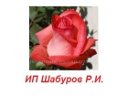 ИП Шабуров Р. И.