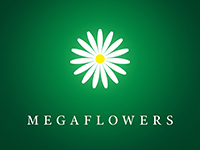 Франшиза Megaflowers