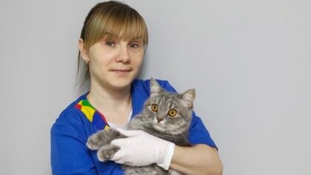 Франшиза Доктор Зоо