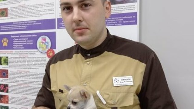 Франшиза Доктор Зоо