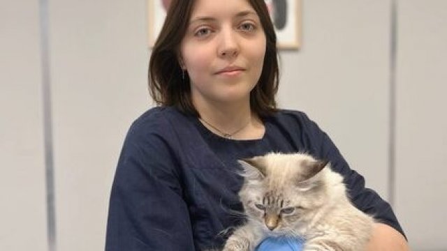 Франшиза Доктор Зоо