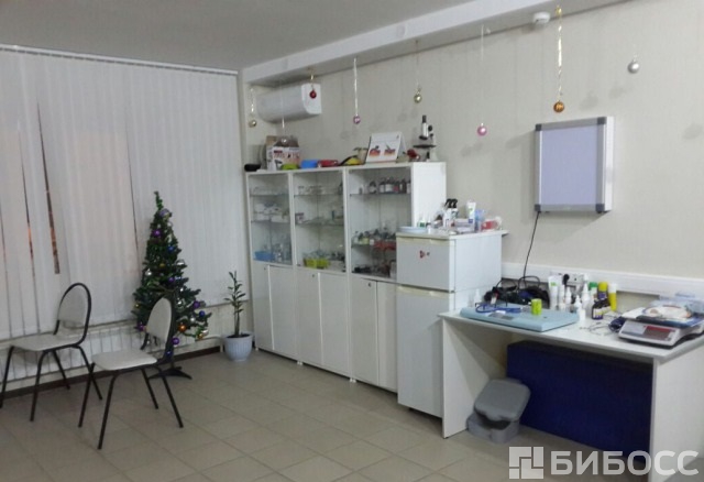 Телефон попавших в больницу