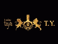 Франшиза Taya & T.Y.
