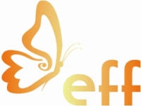 Франшиза EFF