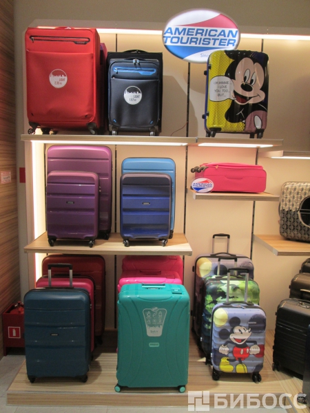 Франшиза Samsonite: цена, описание, отзывы