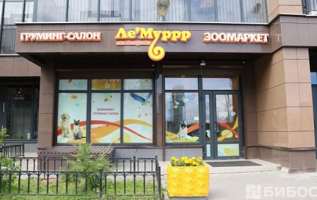 Входная группа Франшиза зоомагазина «Ле'Муррр»