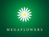 Франшиза Megaflowers