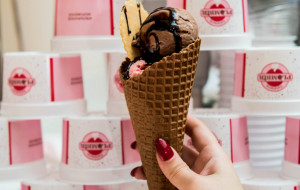 Франшиза Gelateria PLOMBIR