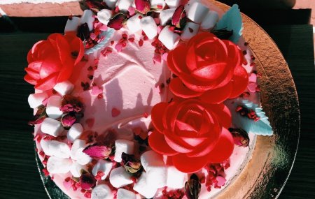 Франшиза Gelateria PLOMBIR