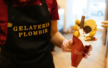 Франшиза Gelateria PLOMBIR
