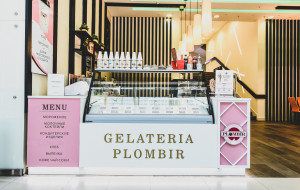 Франшиза Gelateria PLOMBIR