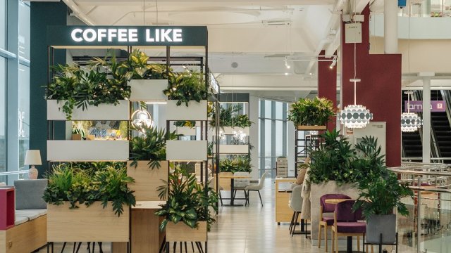 Франшиза COFFEE LIKE