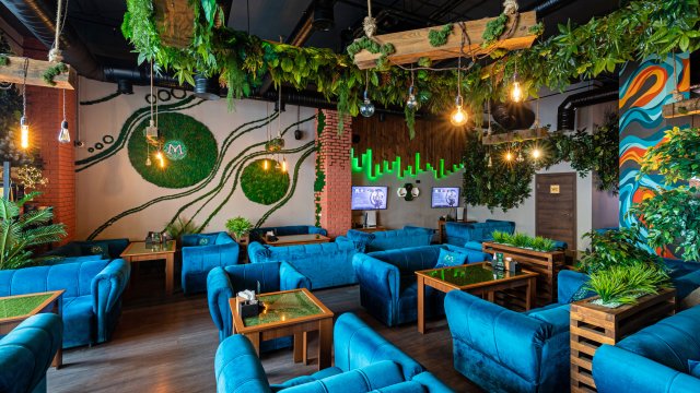 Франшиза Мята Lounge
