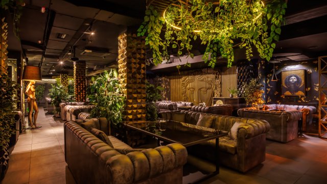 Франшиза Мята Lounge