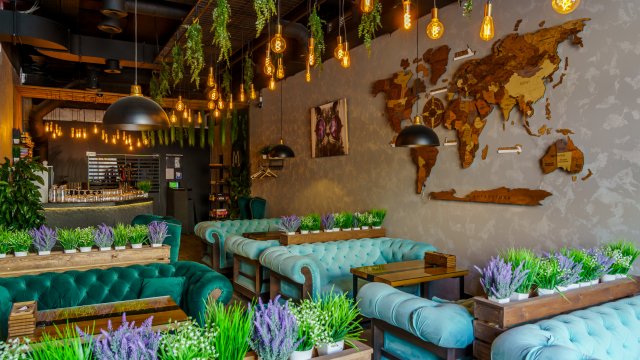 Франшиза Мята Lounge