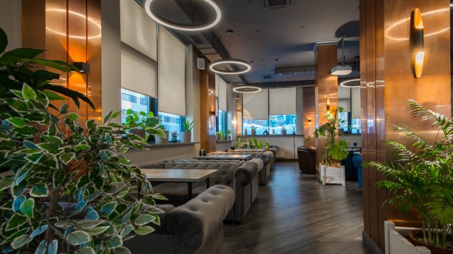 Франшиза Мята Lounge