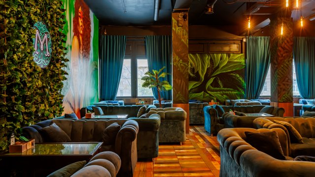Франшиза Мята Lounge