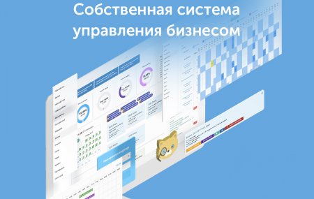 Собственная система управления бизнеса