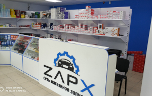 Франшиза ZapX