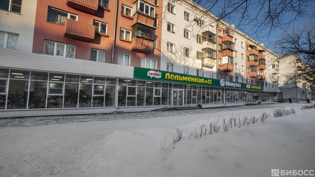 Франшиза Патриот