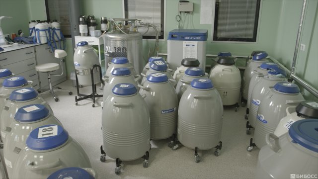 Франшиза NEXT GENERATION CLINIC