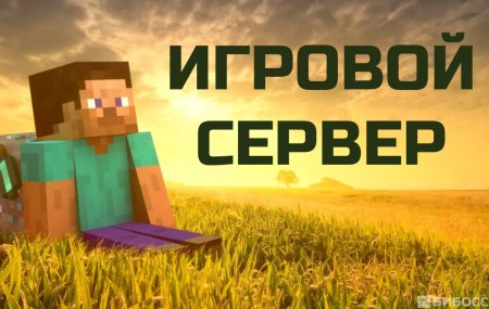 Франшиза Сервер Minecraft