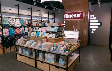 Франшиза магазина аксессуаров Ninesu