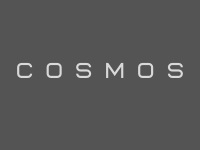 Франшиза Cosmos