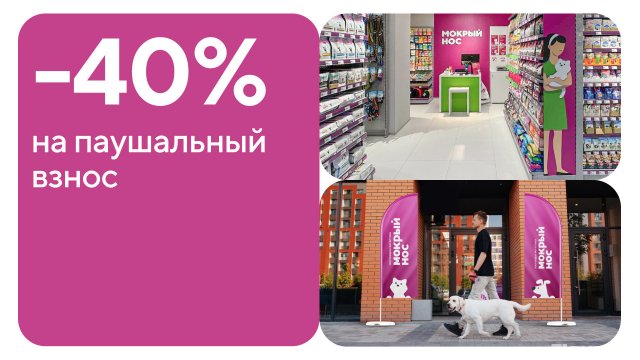 Франшиза Мокрый нос