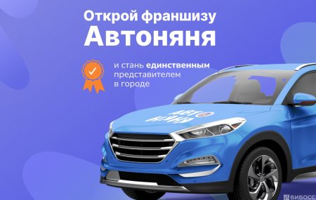 Франшиза Автоняня