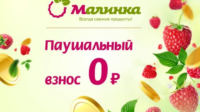 Франшиза Малинка