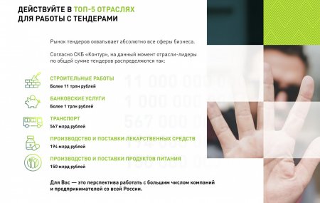 Франшиза ГосТендер