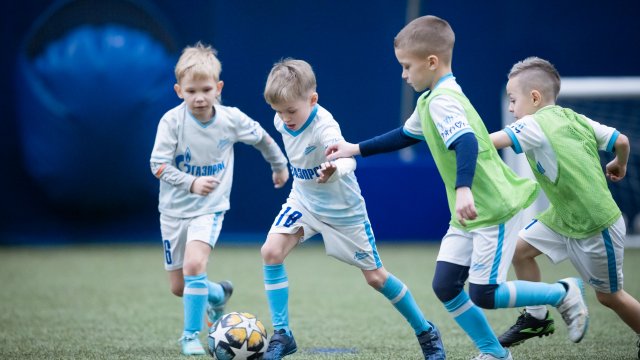 Франшиза Зенит-Чемпионика