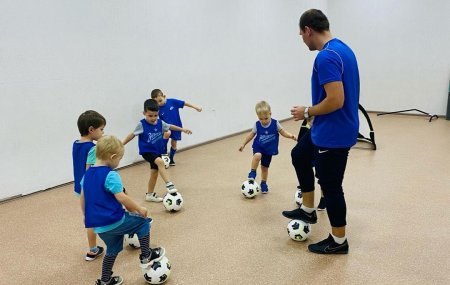 Франшиза Зенит-Чемпионика