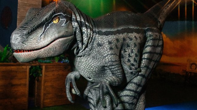 Франшиза Остров Discovery 