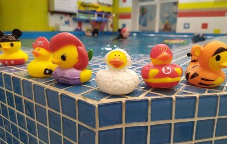 Франшиза Kinder Pool