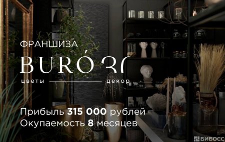 Франшиза BURO30