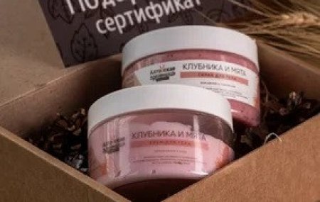 Франшиза Алтайская здравница