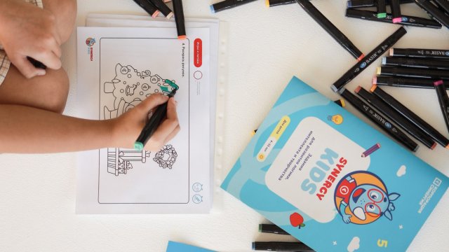 Франшиза Synergy Kids