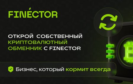 Франшиза Finector