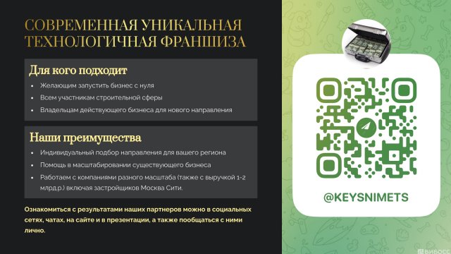 Франшиза NIMETS